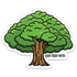 The Narra Tree Sticker